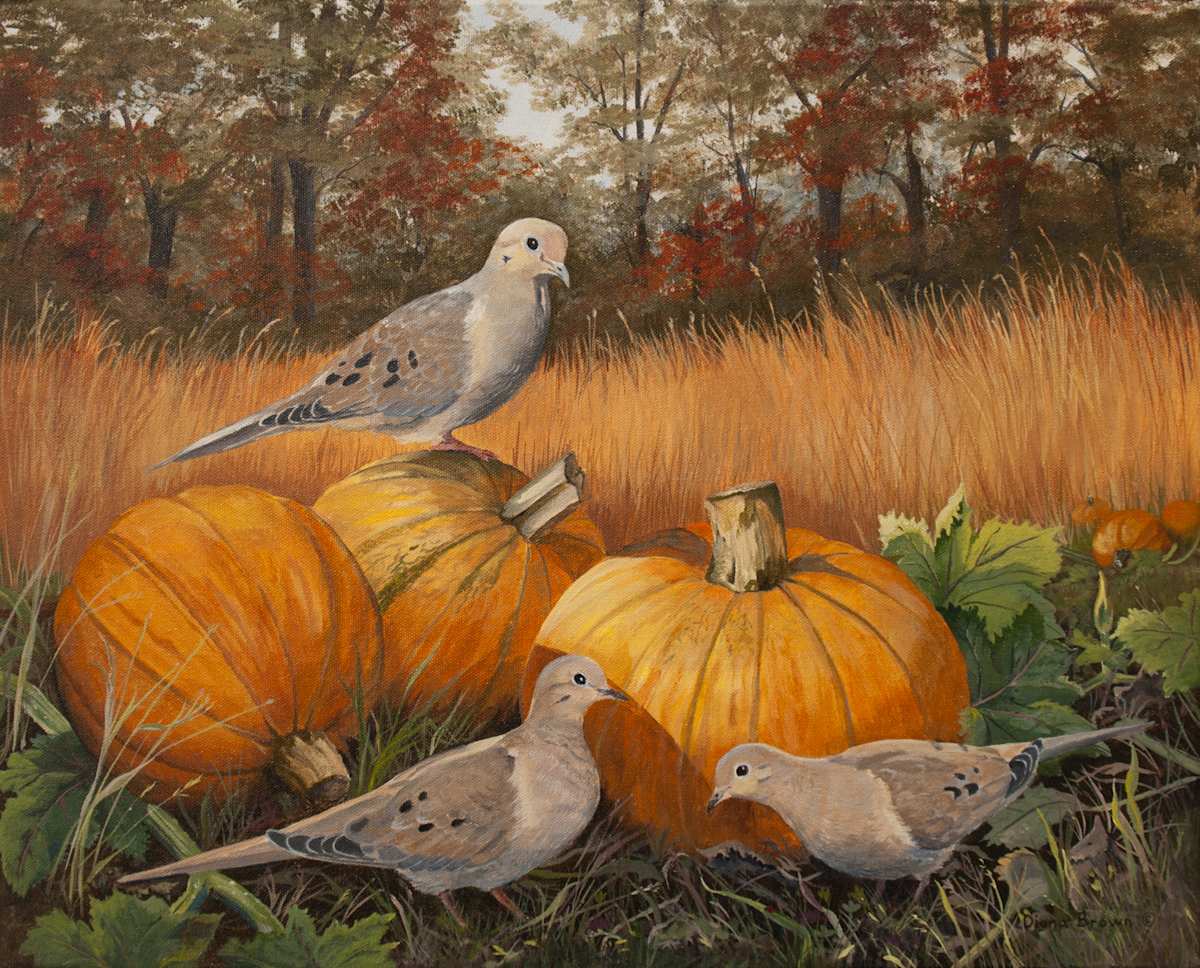 Doves in Pumpkin Field, Image 1.