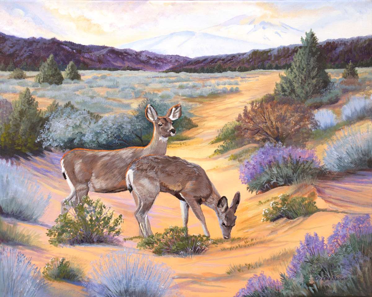 High Desert Mule Deer, Image 1.