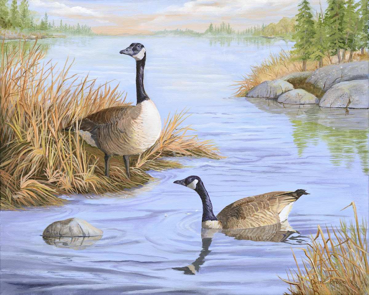 Guardian Goose, Image 2.