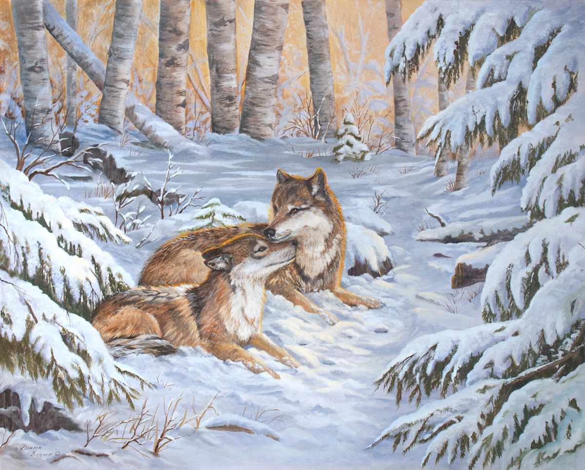 Keeping Warm, Image 1.