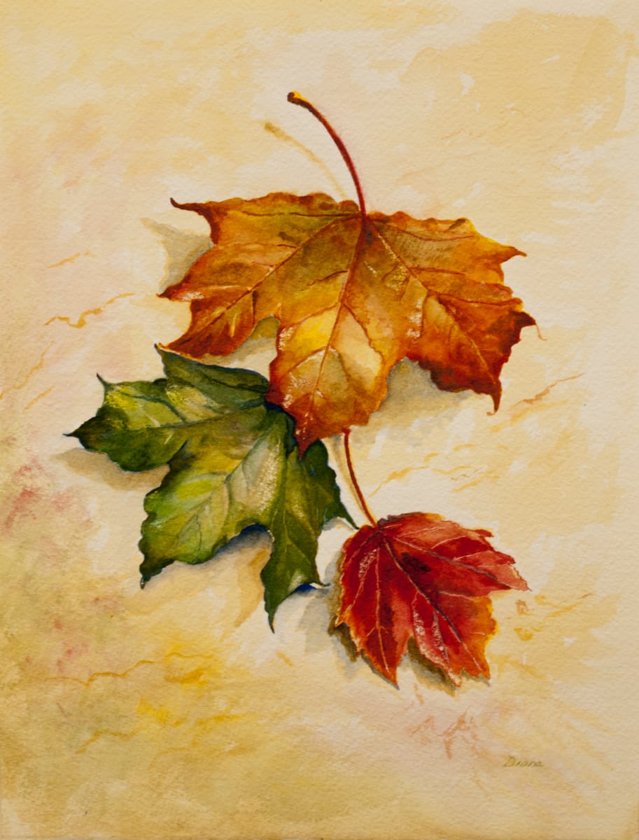 Three Leaves, Image 1.