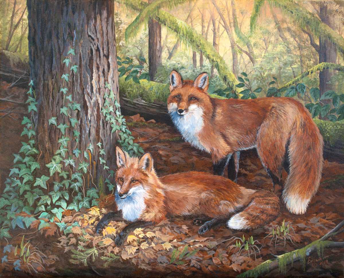 A warm sunny spot, Image 1.