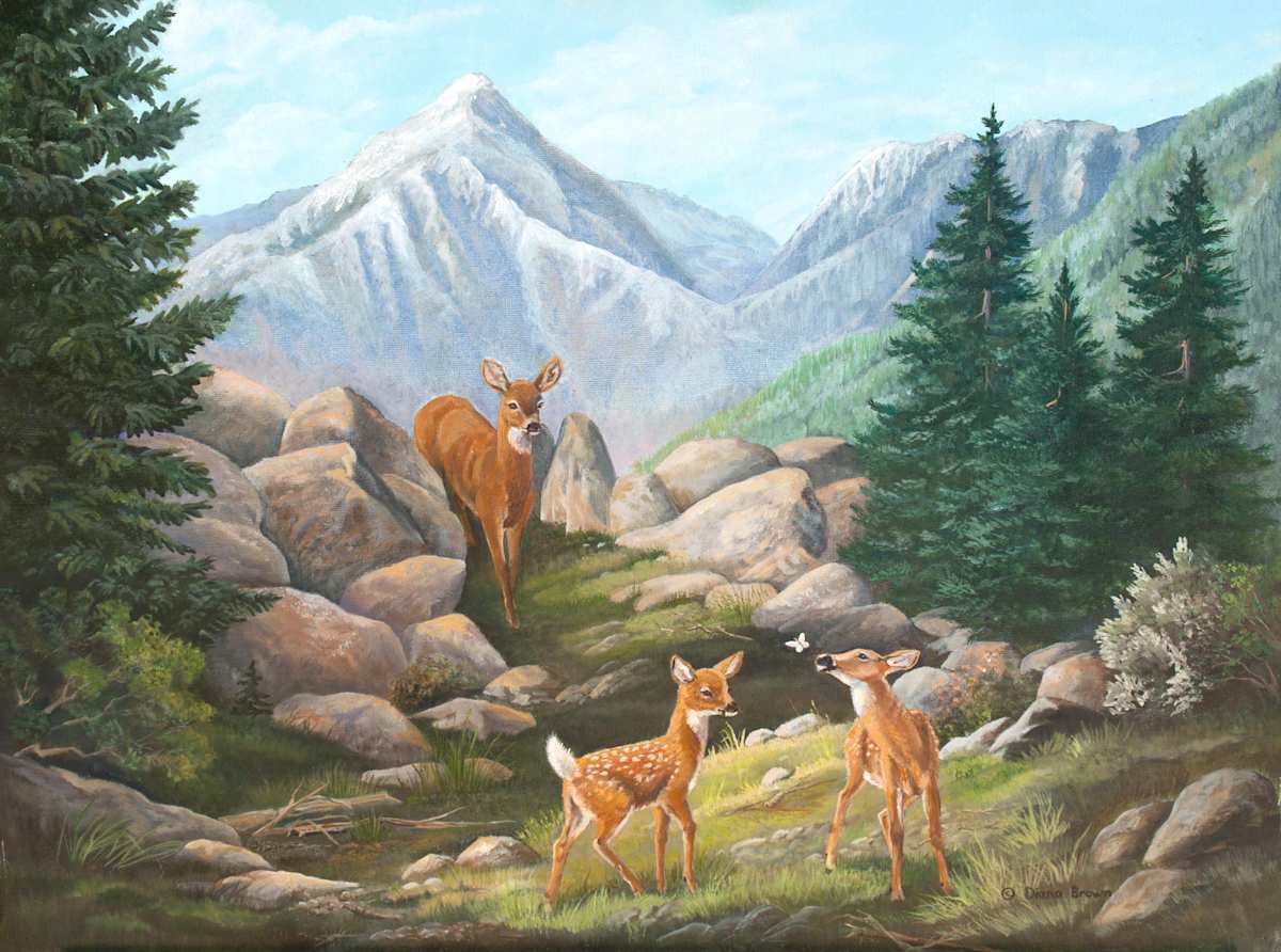 Fawn Discoveries, Image 1.