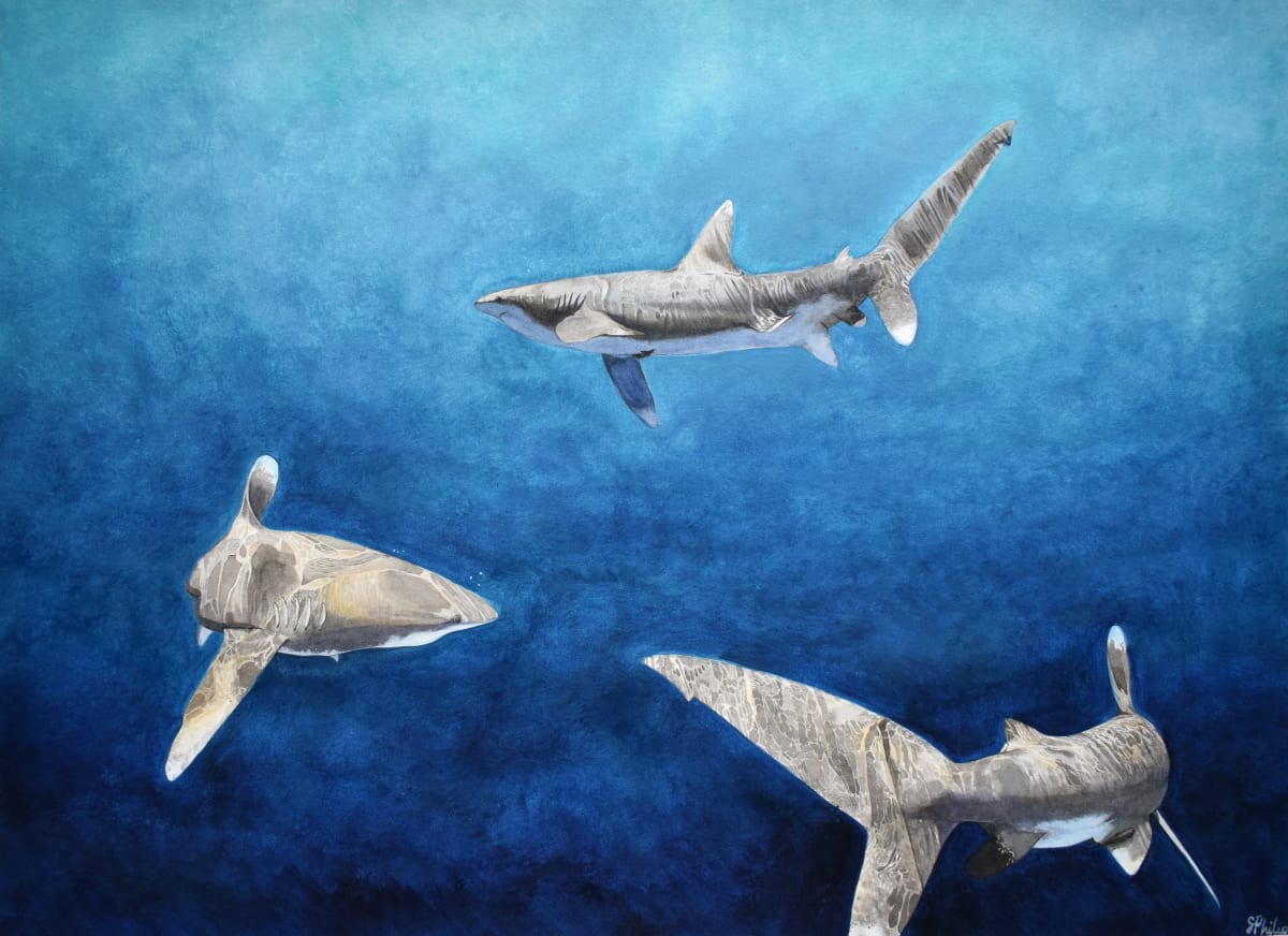 Dancers by Sarah Philips 