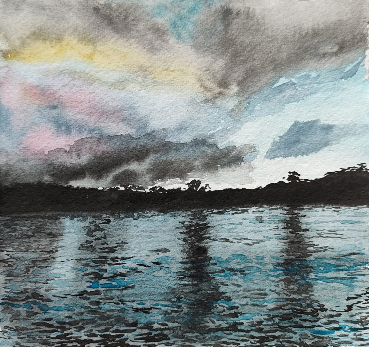 Huon river study by Sarah Philips 
