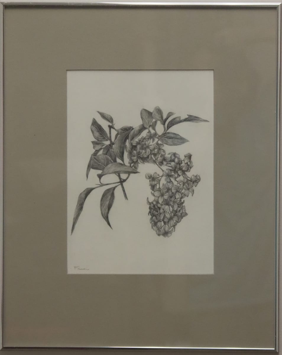 Dogwood by Michelle Farrar 