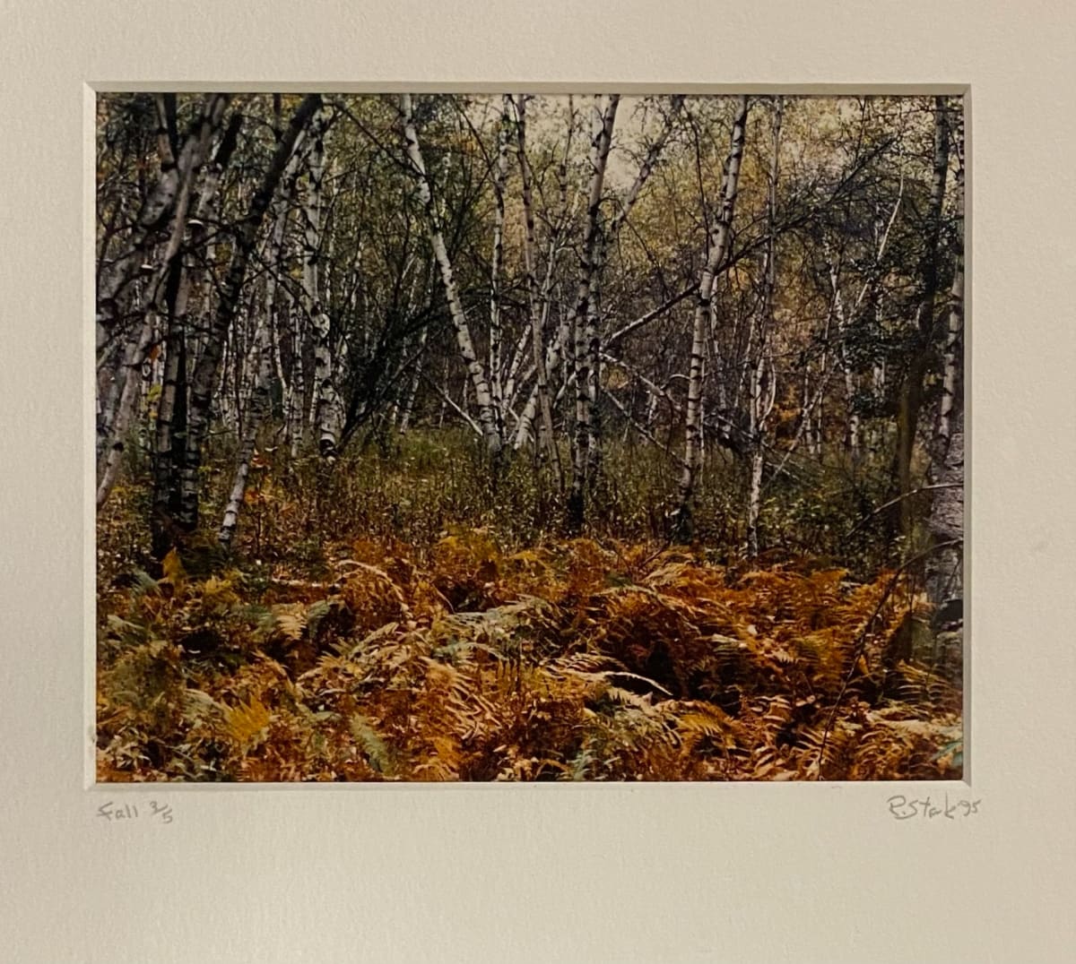 Fall in the Poconos by Ron Stark, Image 1.