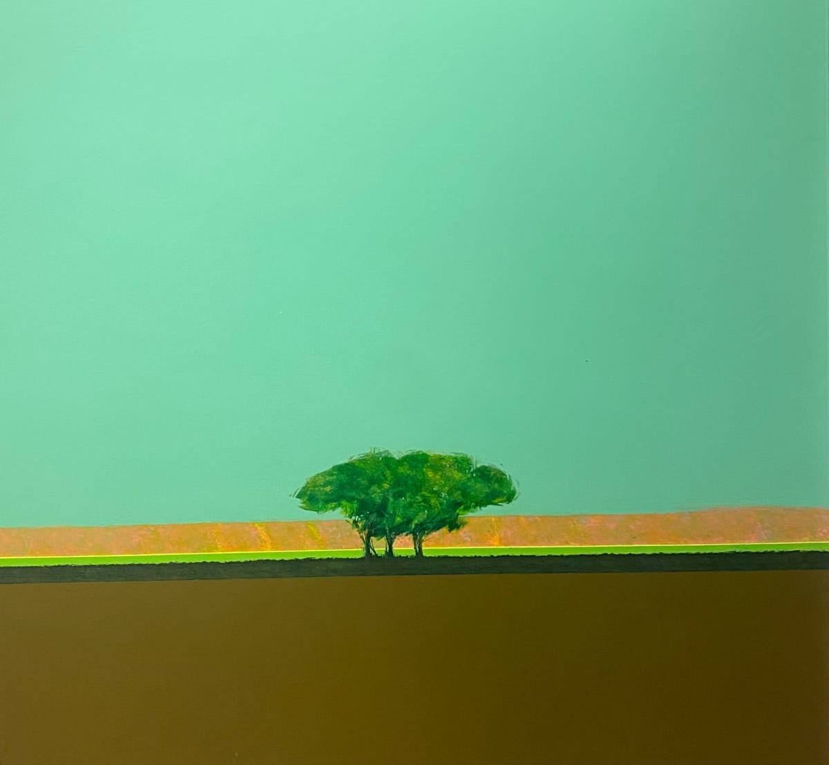 Midlands #6 by Richard Terrell 