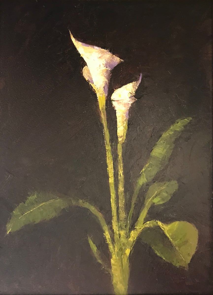 Calla Lillies by Richard Budig 