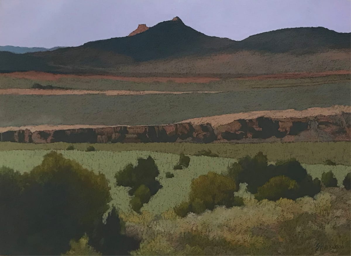 Hidden Gorge by Mary Silverwood 