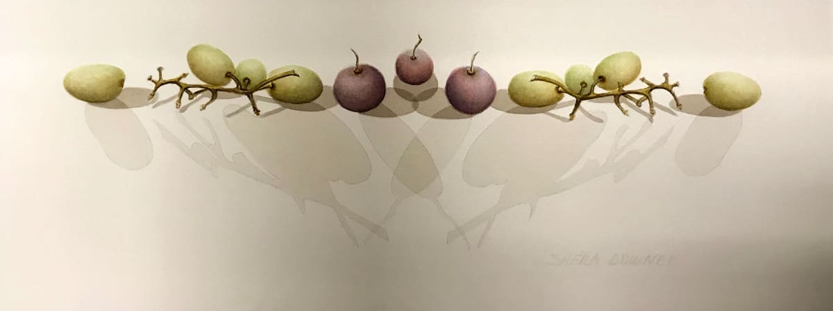 Grapes by Shelia Downey 