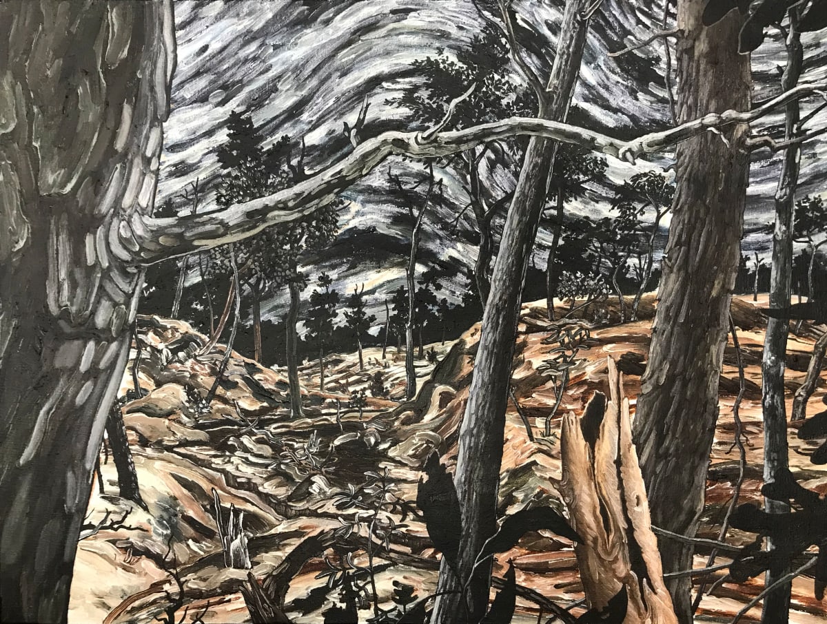 Woodland Metaphor by Robert William Head 