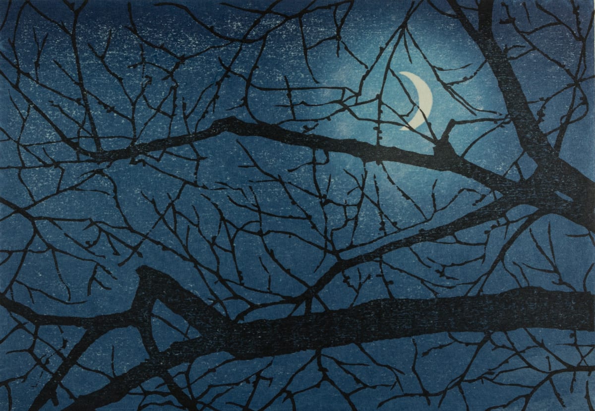 HImeji moon by Mara Cozzolino 