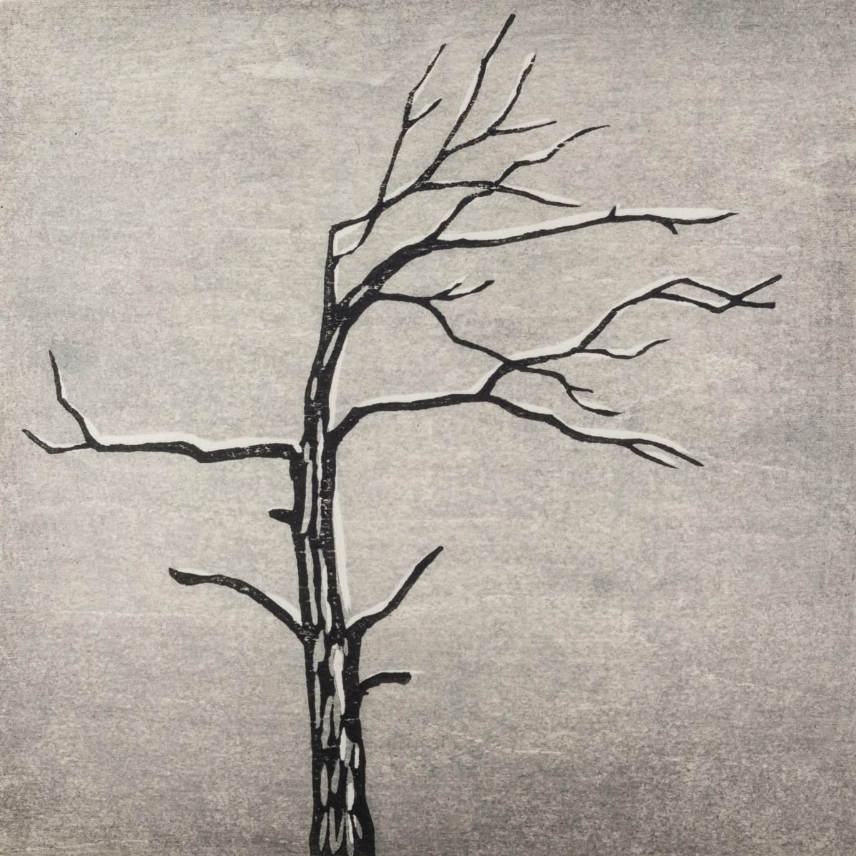 Memento #12, Image 2.