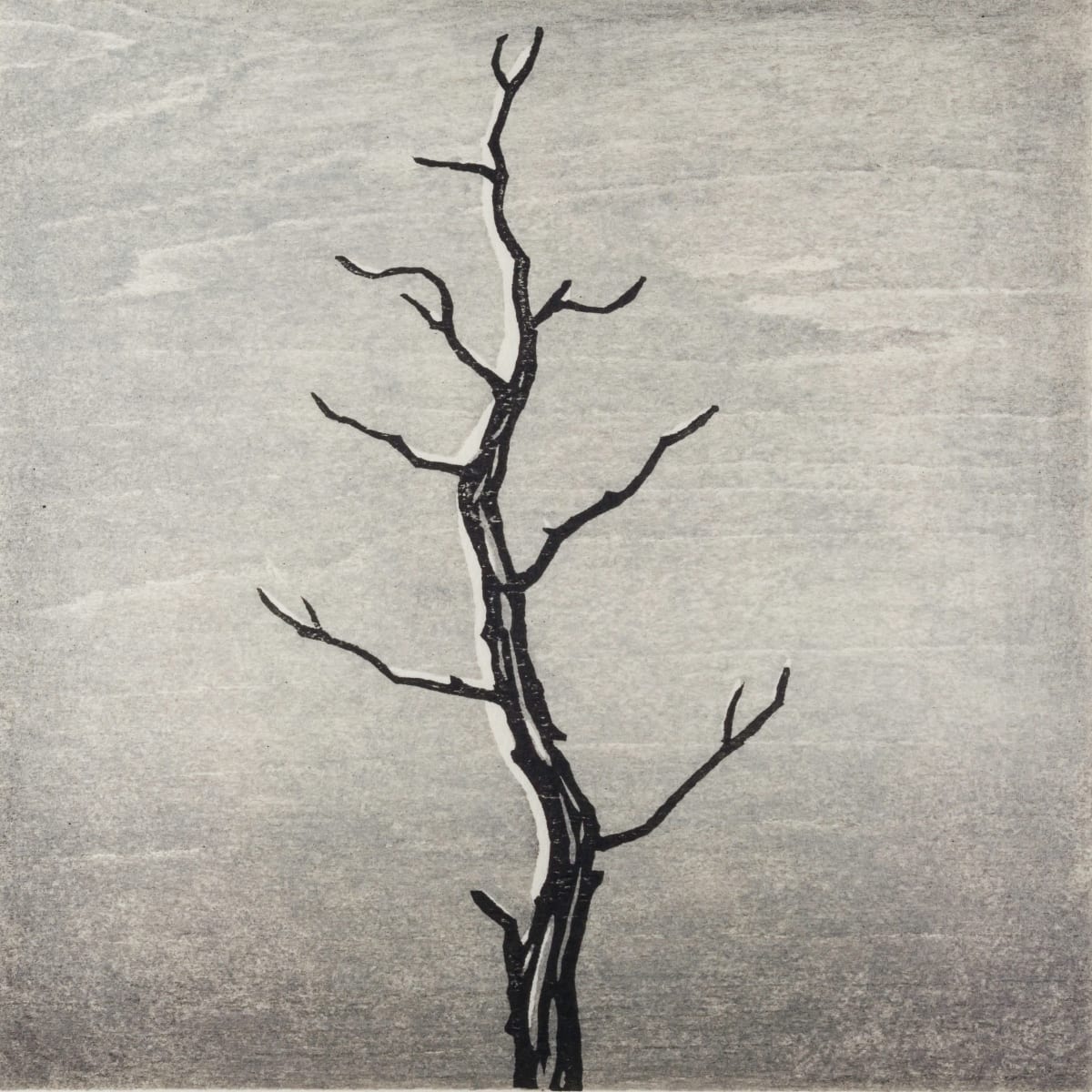 Memento #15, Image 2.