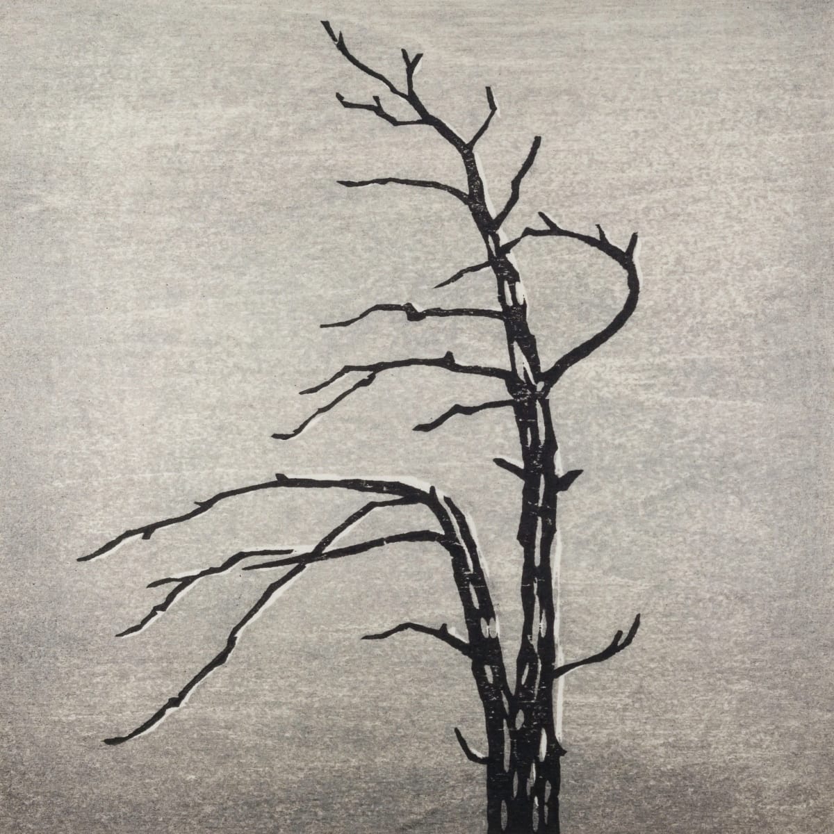 Memento #16, Image 2.