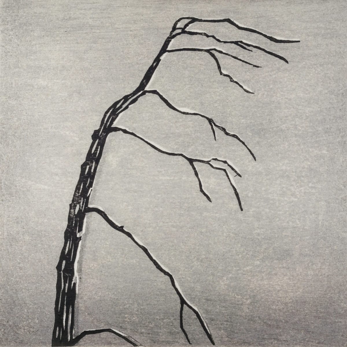 Memento #17, Image 2.