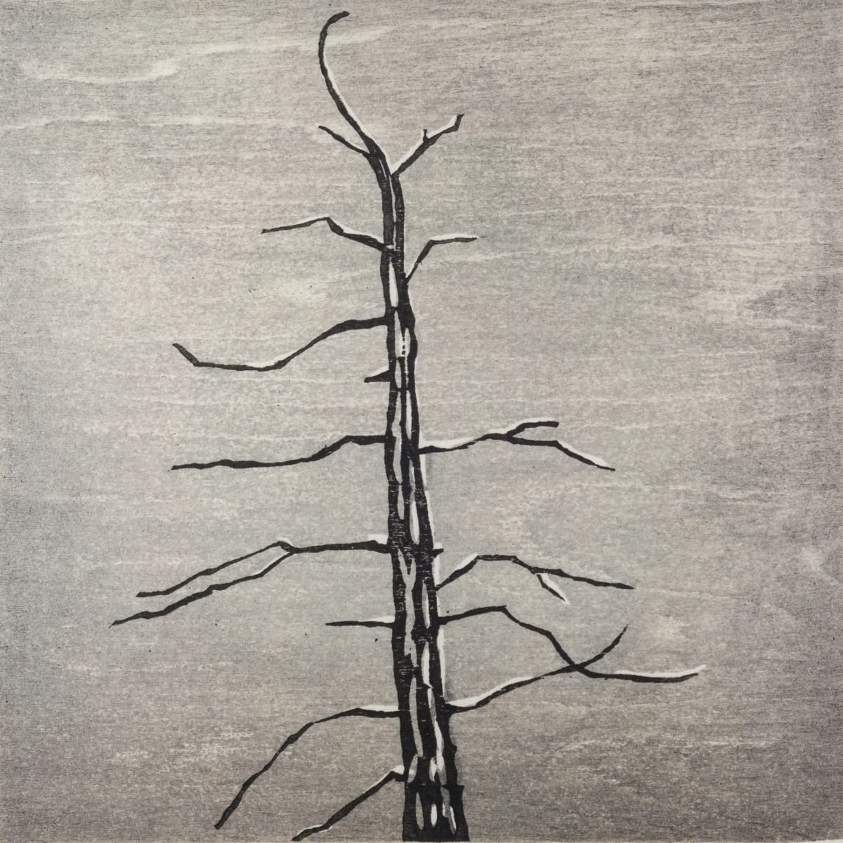 Memento #19, Image 2.
