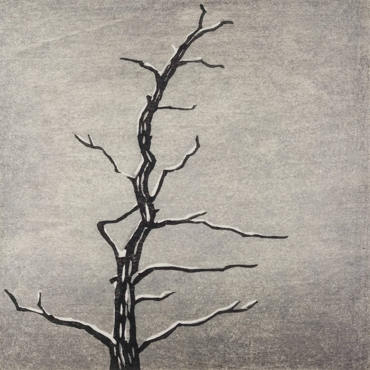 Memento #20, Image 2.