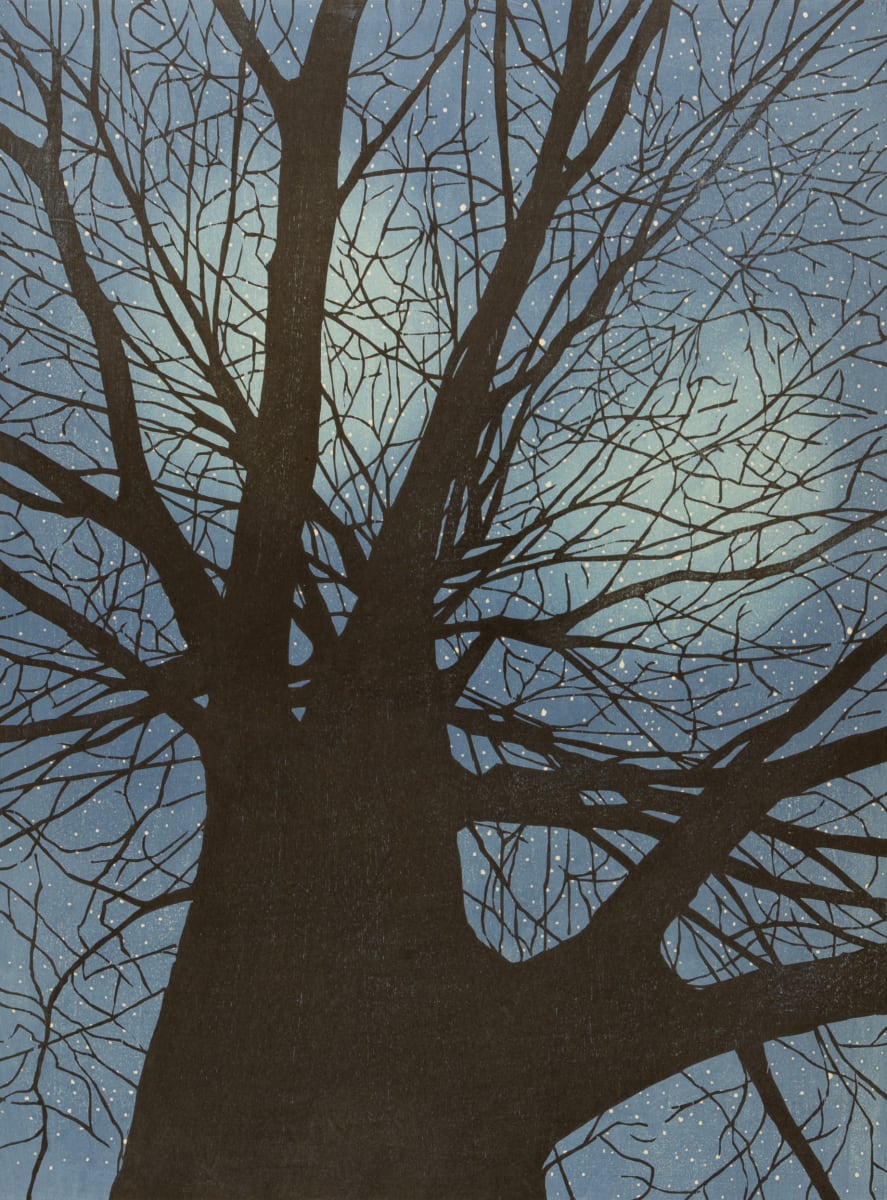 Star whisperer by Mara Cozzolino 