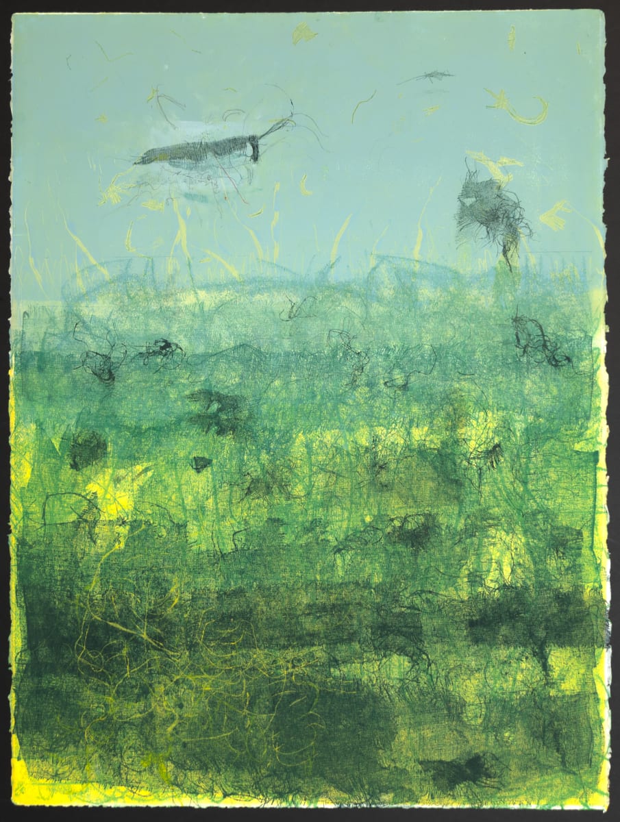 Spatial Anomaly by Dominique Simmons 