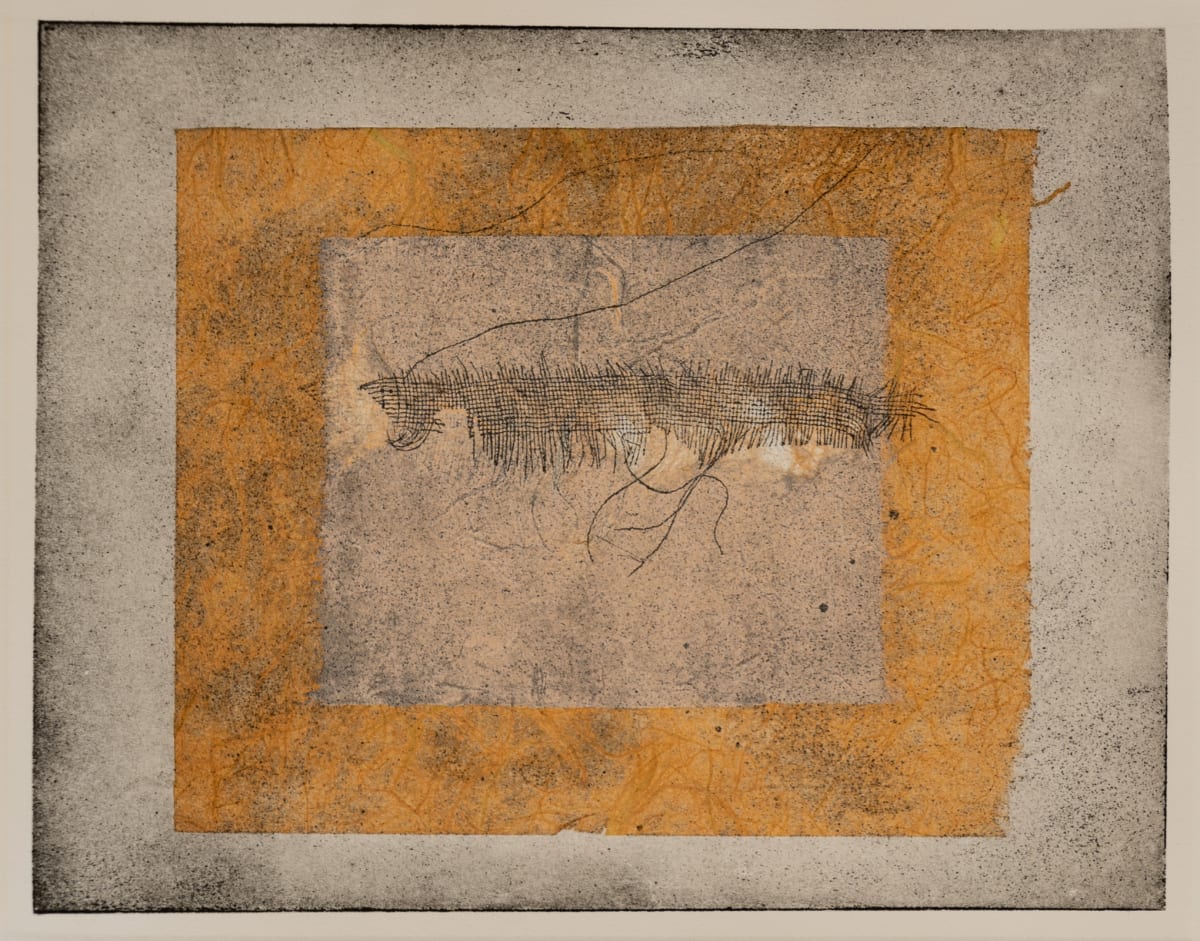 Insect in Gold by Dominique Simmons 