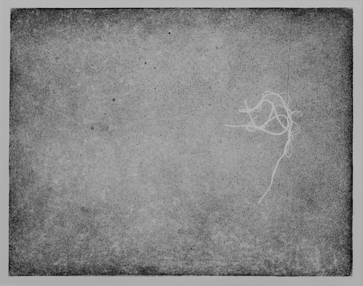 dsa-2019-013 by Dominique Simmons 