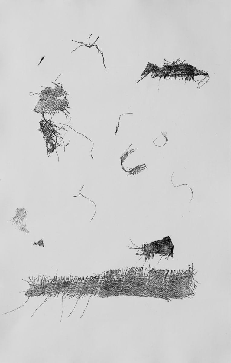 Foragers (The) by Dominique Simmons 