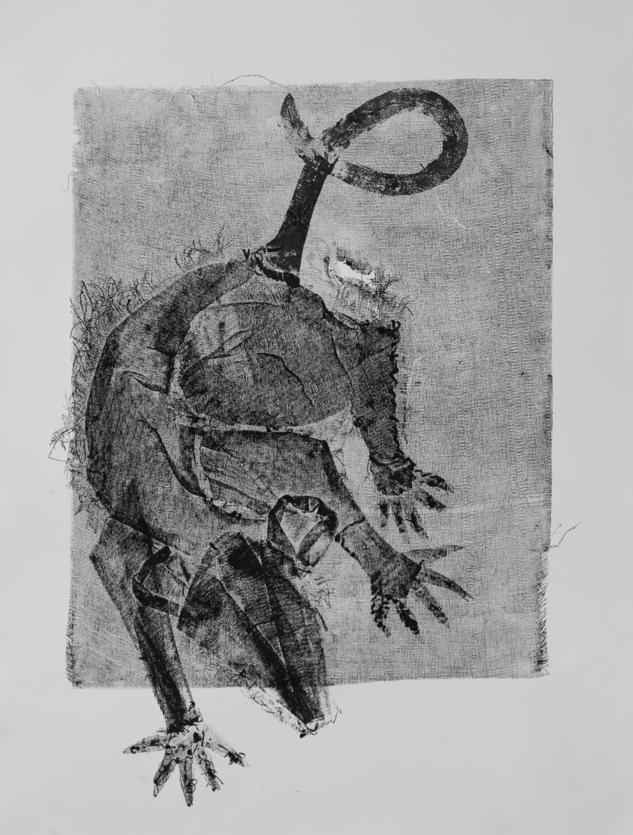 Possum on a Screen Door by Dominique Simmons 