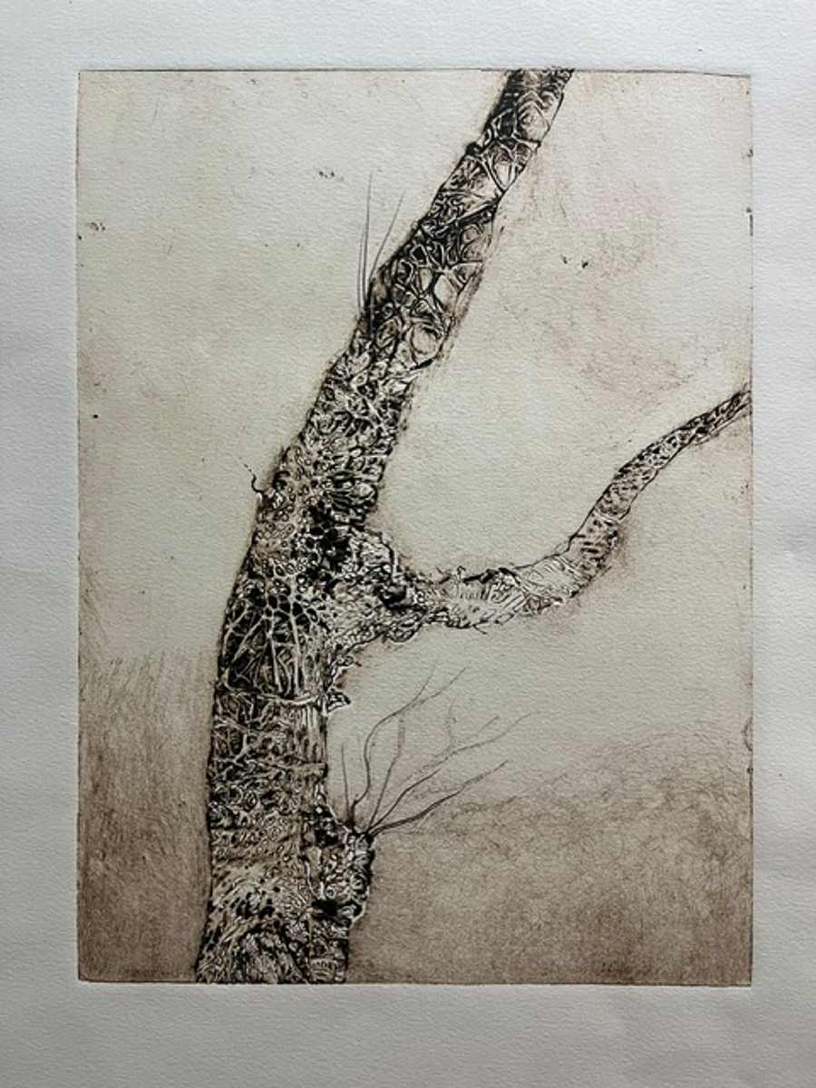 Tree by Dominique Simmons Art, Image 1.