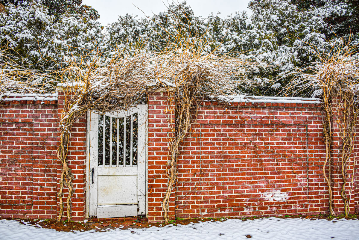Snowy Gate - Old Town Alexandria, VA by Jenny Nordstrom 