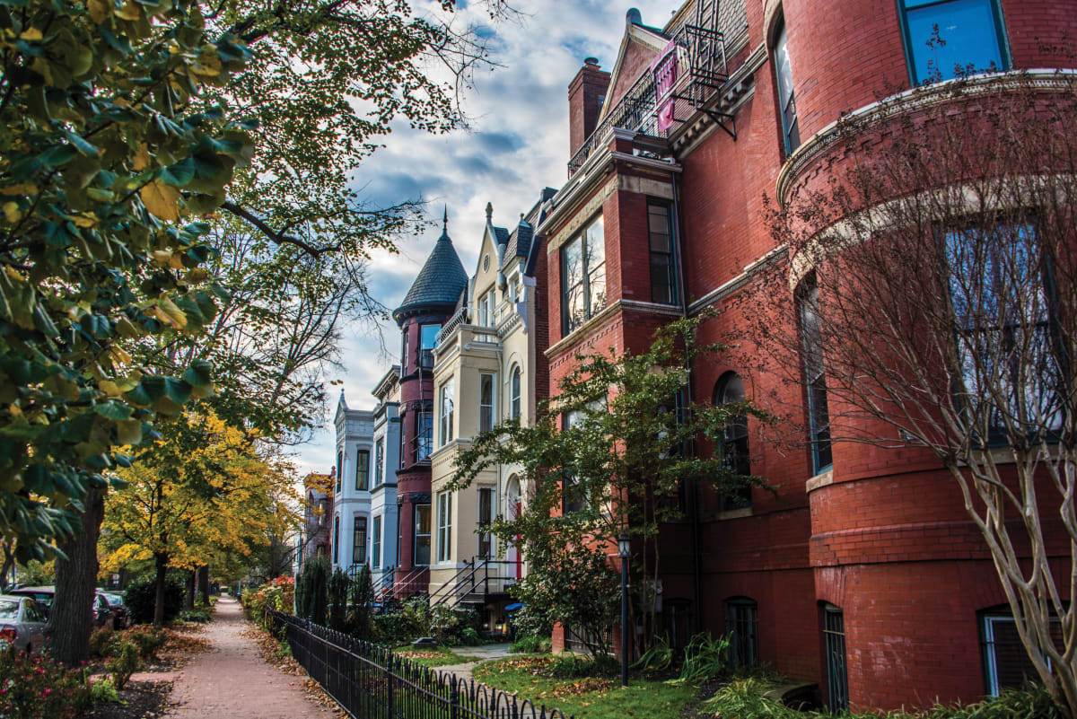 Capitol Hill Row Houses in the Fall by Jenny Nordstrom 
