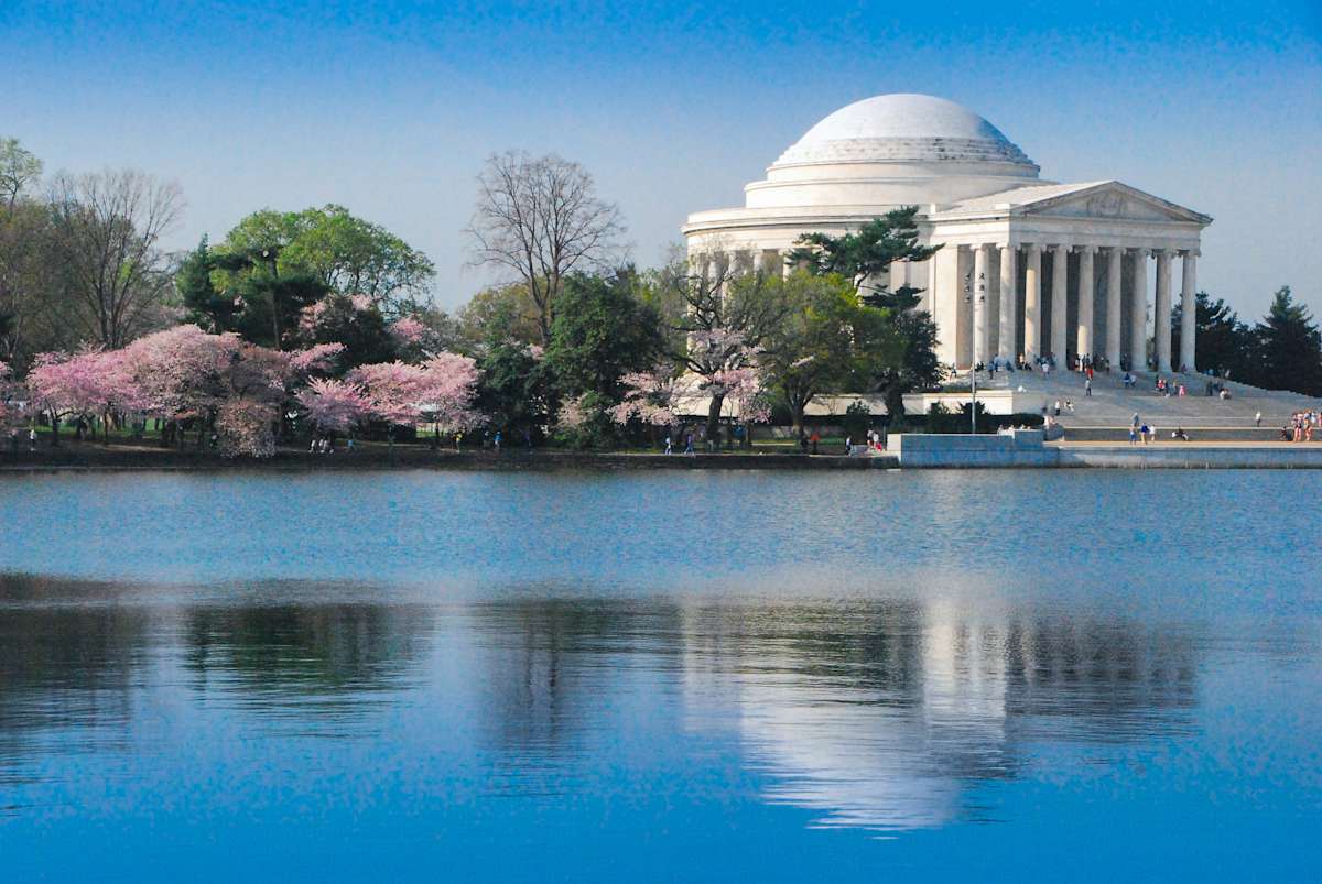 Jefferson Monument Reflection with Cherries, Image 1.