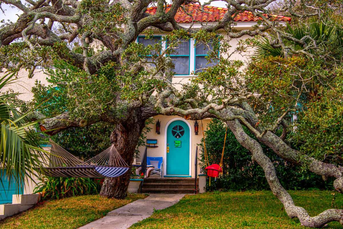 Amazing Tree + Door - Daytona Beach, Florida by Jenny Nordstrom 