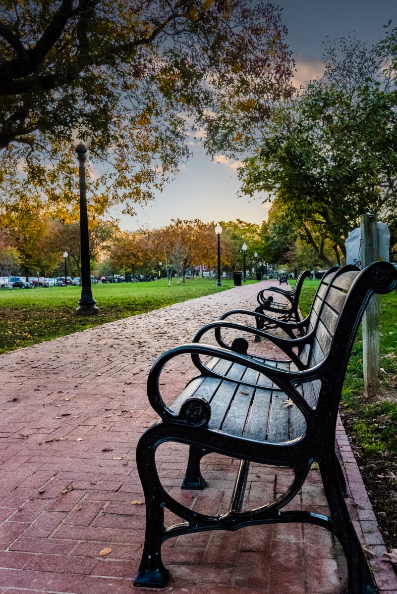 Park Benches in Autumn - Capitol Hill by Jenny Nordstrom 