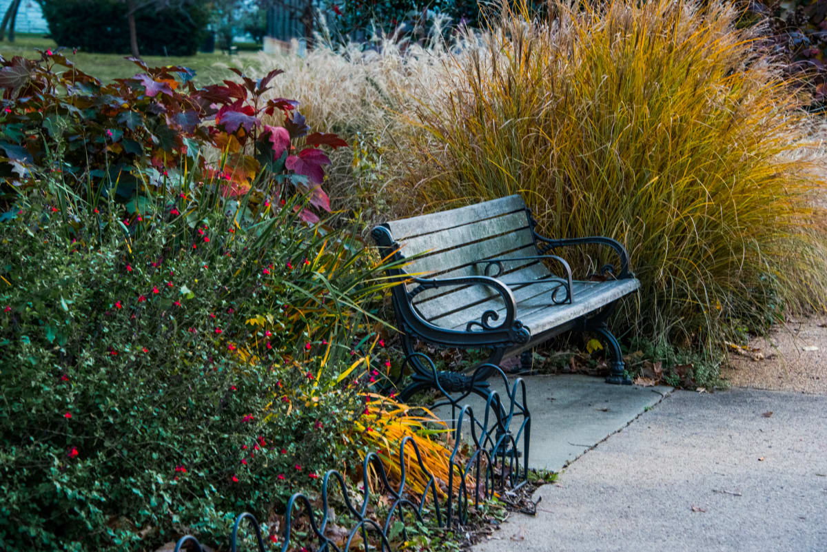 Autumnal Park Bench - Capitol Hill, Washington DC by Jenny Nordstrom 