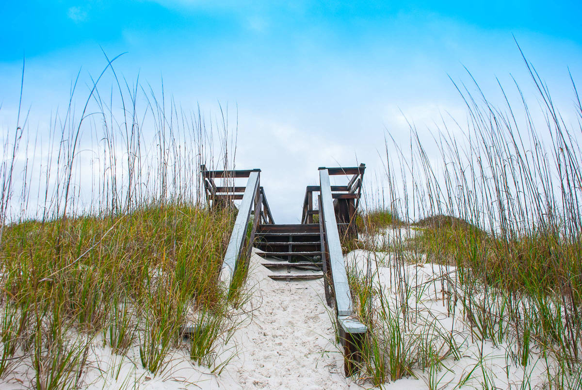 Climbing into the Sky - Florida (color version) 