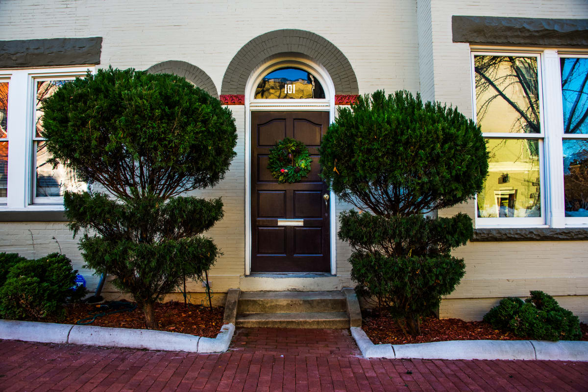 Capitol Hill Door with Bushes 