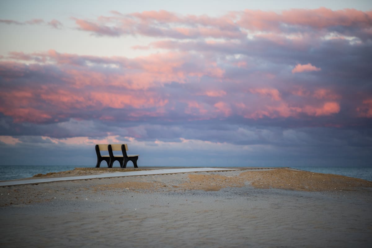 Assateague Bench 