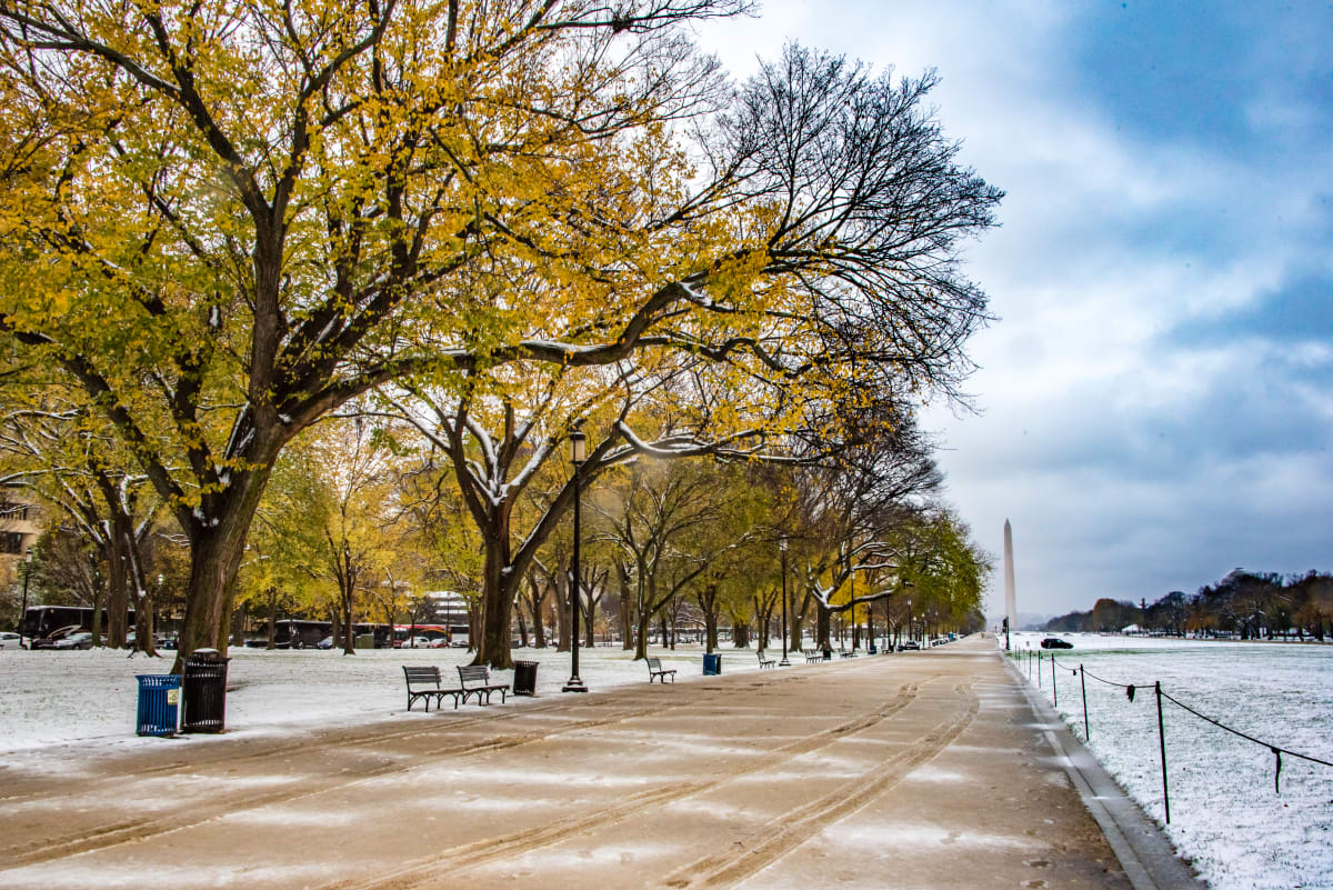 National Mall / Washington Monument in the Snow 