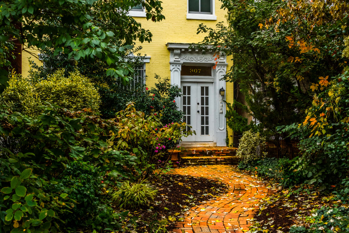 Winding Path, Capitol Hill - Washington DC 