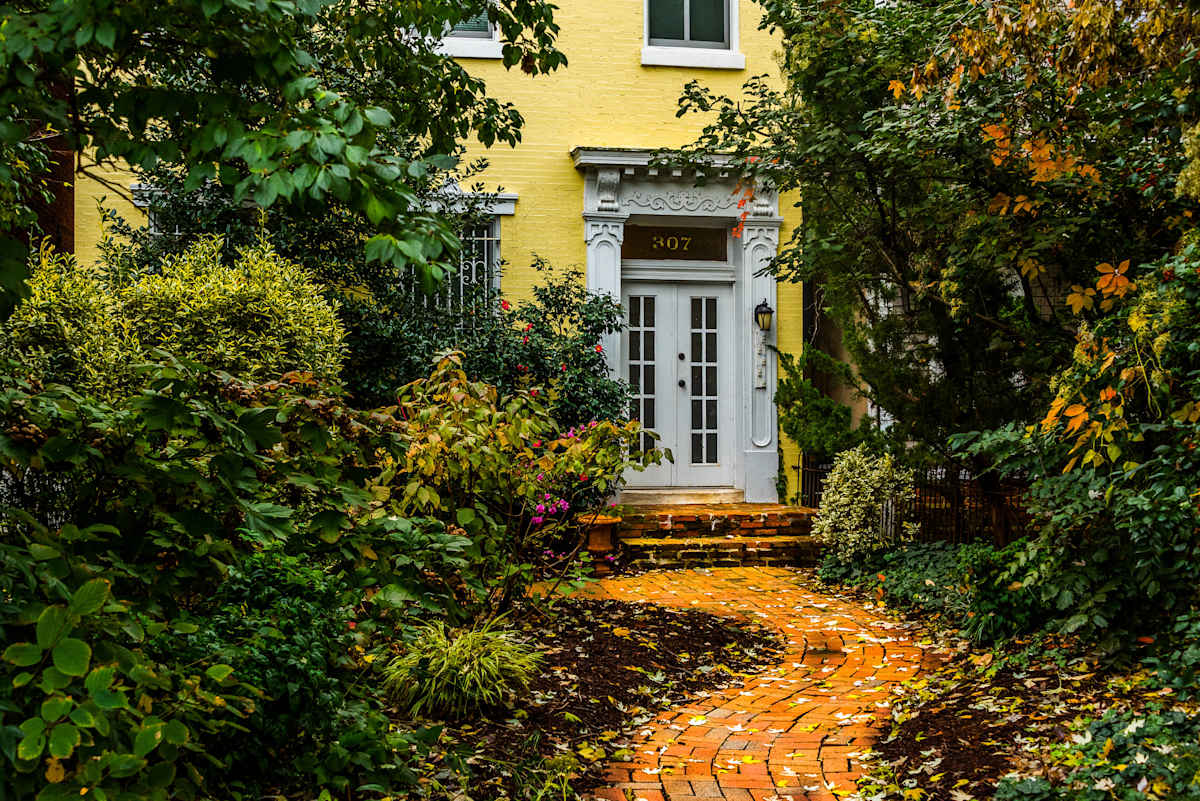 Winding Path, Capitol Hill - Washington DC, Image 3.