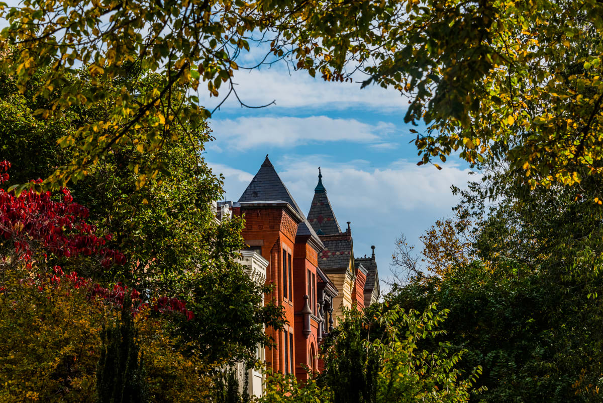 Rowhouses Through the Trees - Capitol Hill by Jenny Nordstrom 