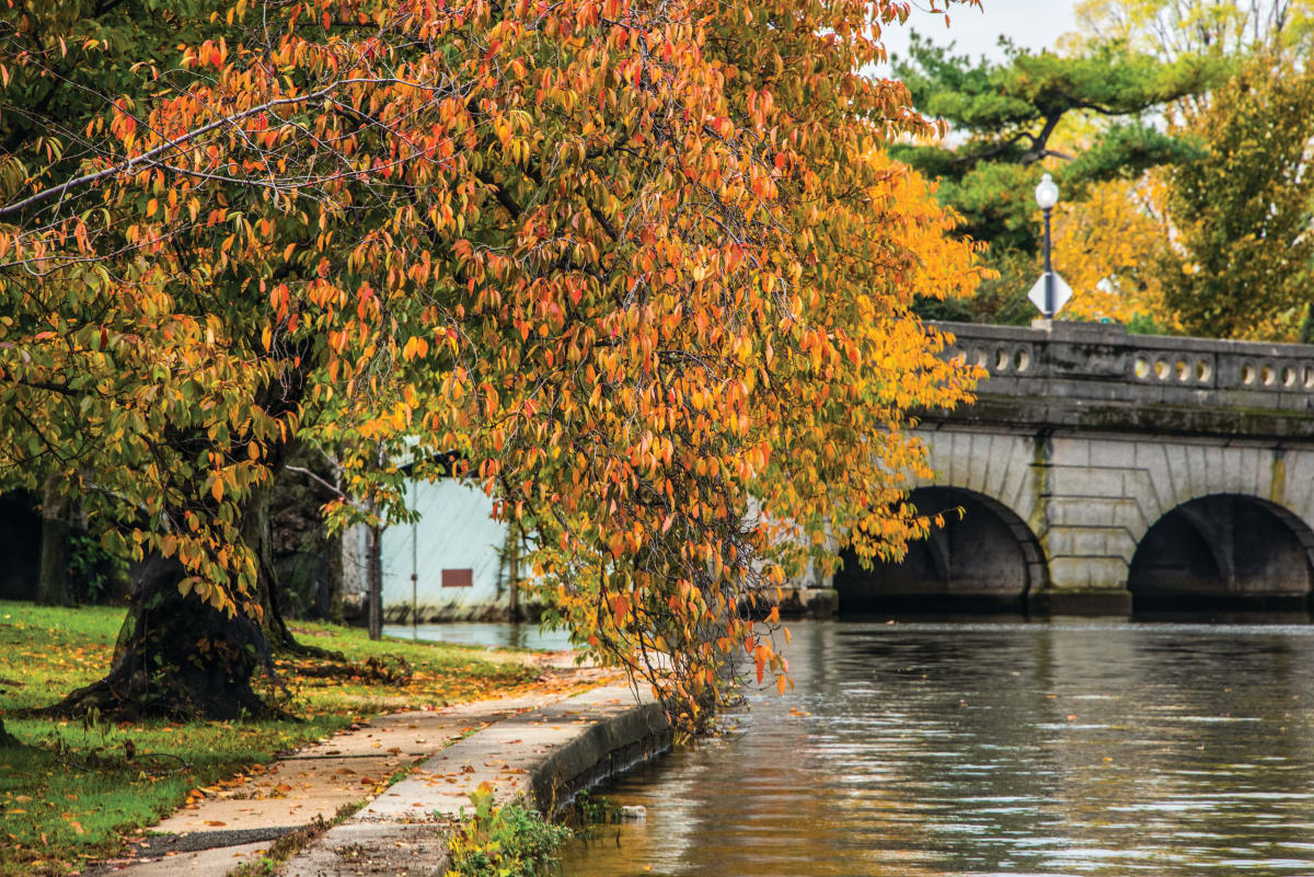 Tidal Basin in Autumn - Washington DC 