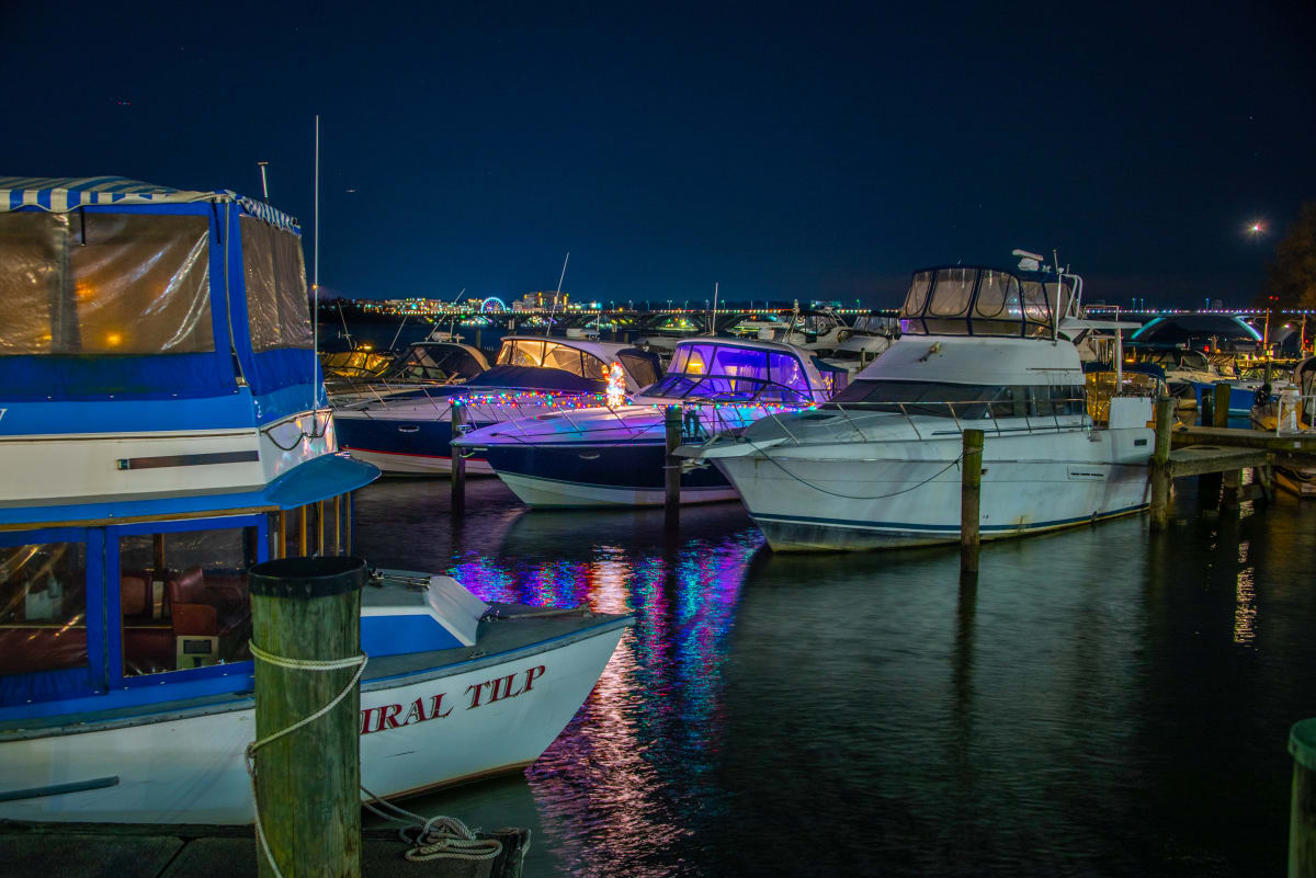 Boats by the Waterfront - Alexandria 