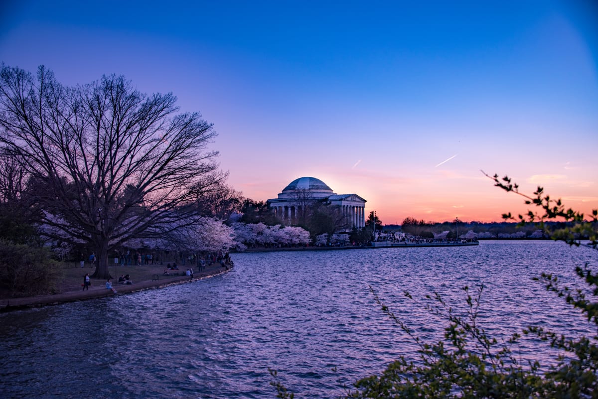 Jefferson Memorial, Cherry Blossom Sunset 