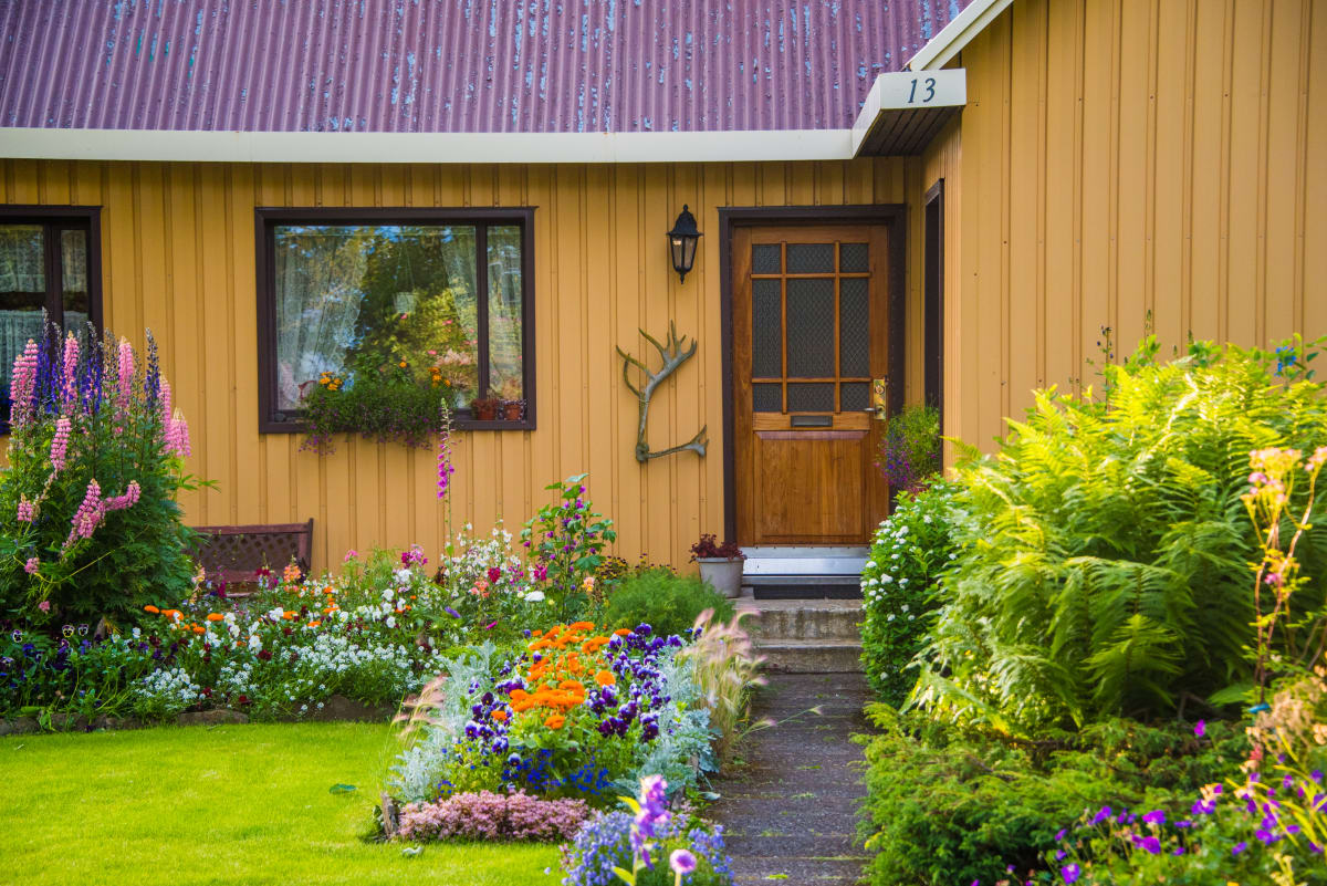 Floral Door with Antler - Iceland 