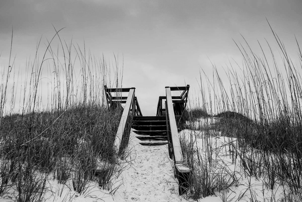 Climbing into the Sky - Florida (black and white version) 