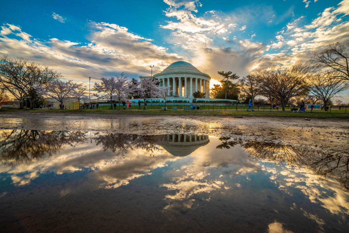 Jefferson Monument Reflection with Cherries 