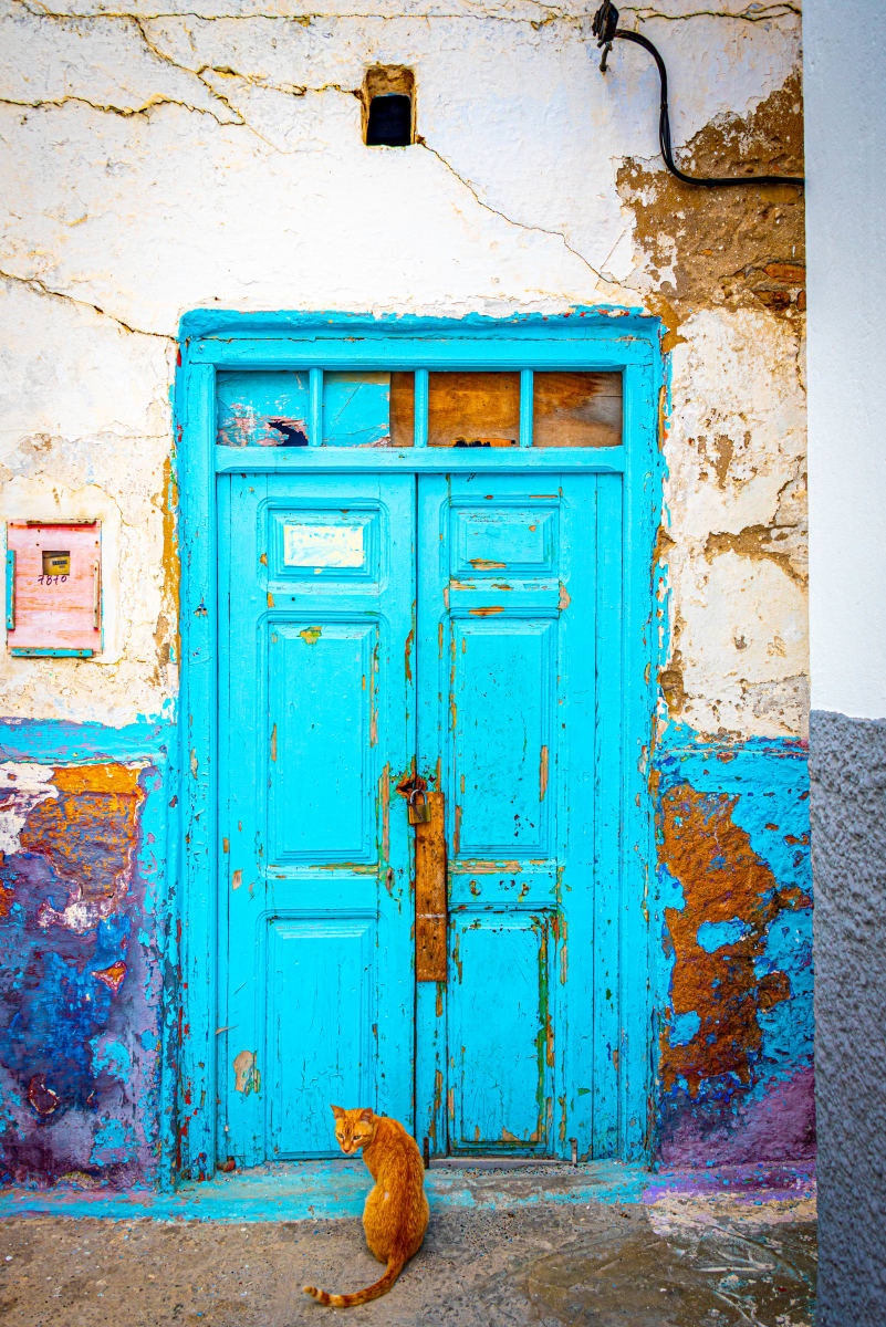 Cat with Turquoise Door - Asilah, Morocco by Jenny Nordstrom 